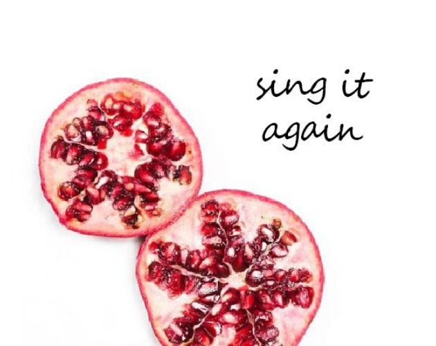 sing it again cover